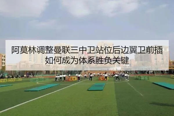 a-mo-lin-tiao-zheng-man-lian-san-zhong-wei-zhan-wei-hou-bian-yi-wei-qian-cha-ru-he-cheng-wei-ti-xi-sheng-fu-guan-jian-2-904.jpg